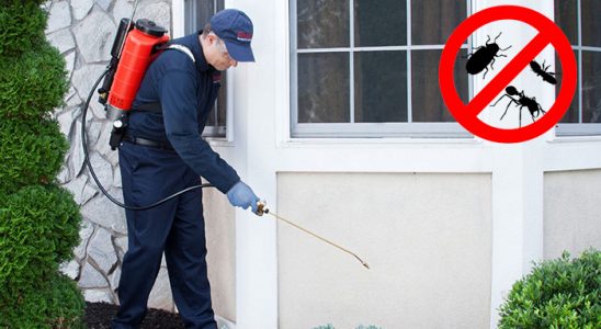 Ardahan Böcek İlaçlama böcek ilaçlama ve haşere kontrolü — ilaclama-tr.com